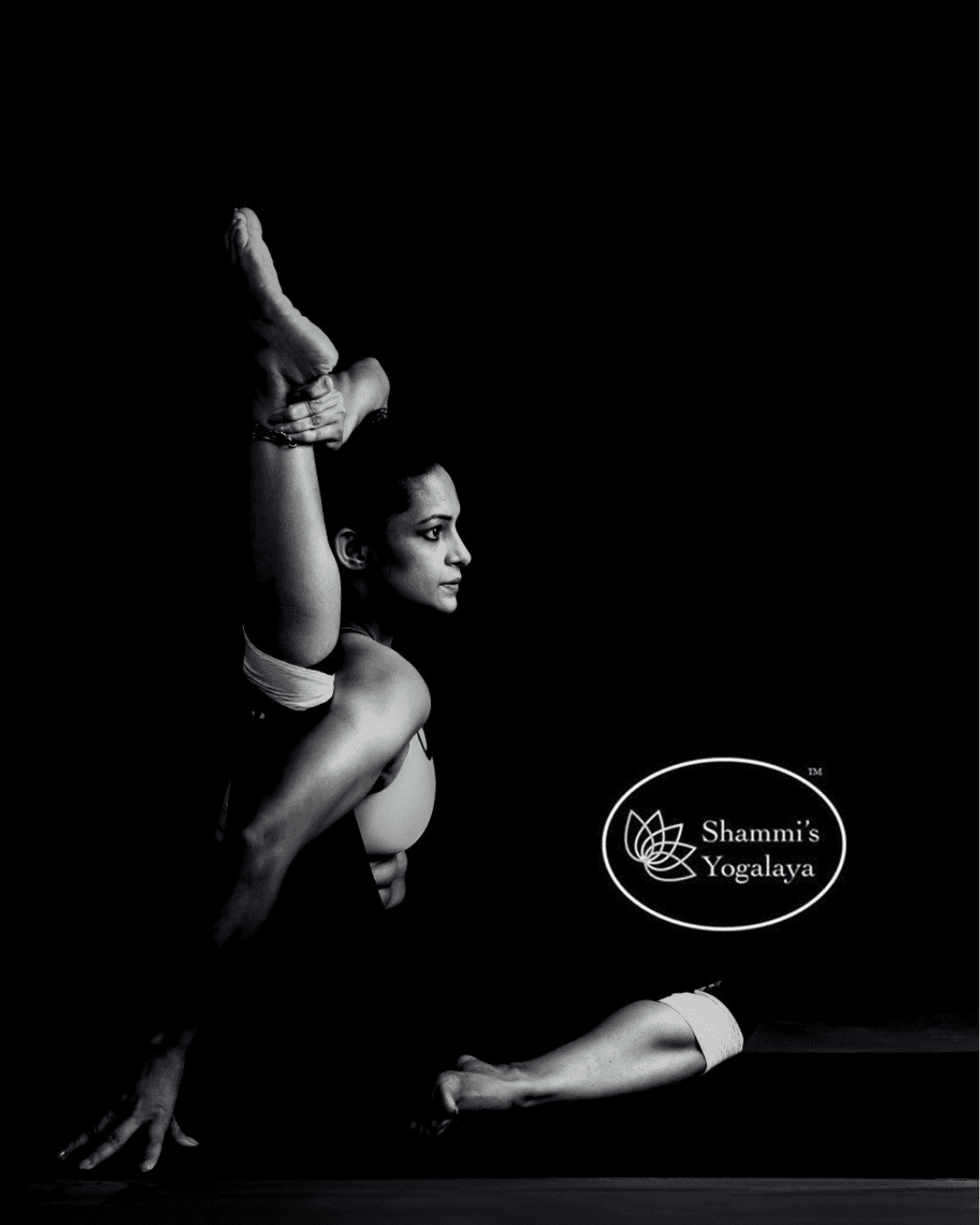 Shammi's Yogalaya brand creative